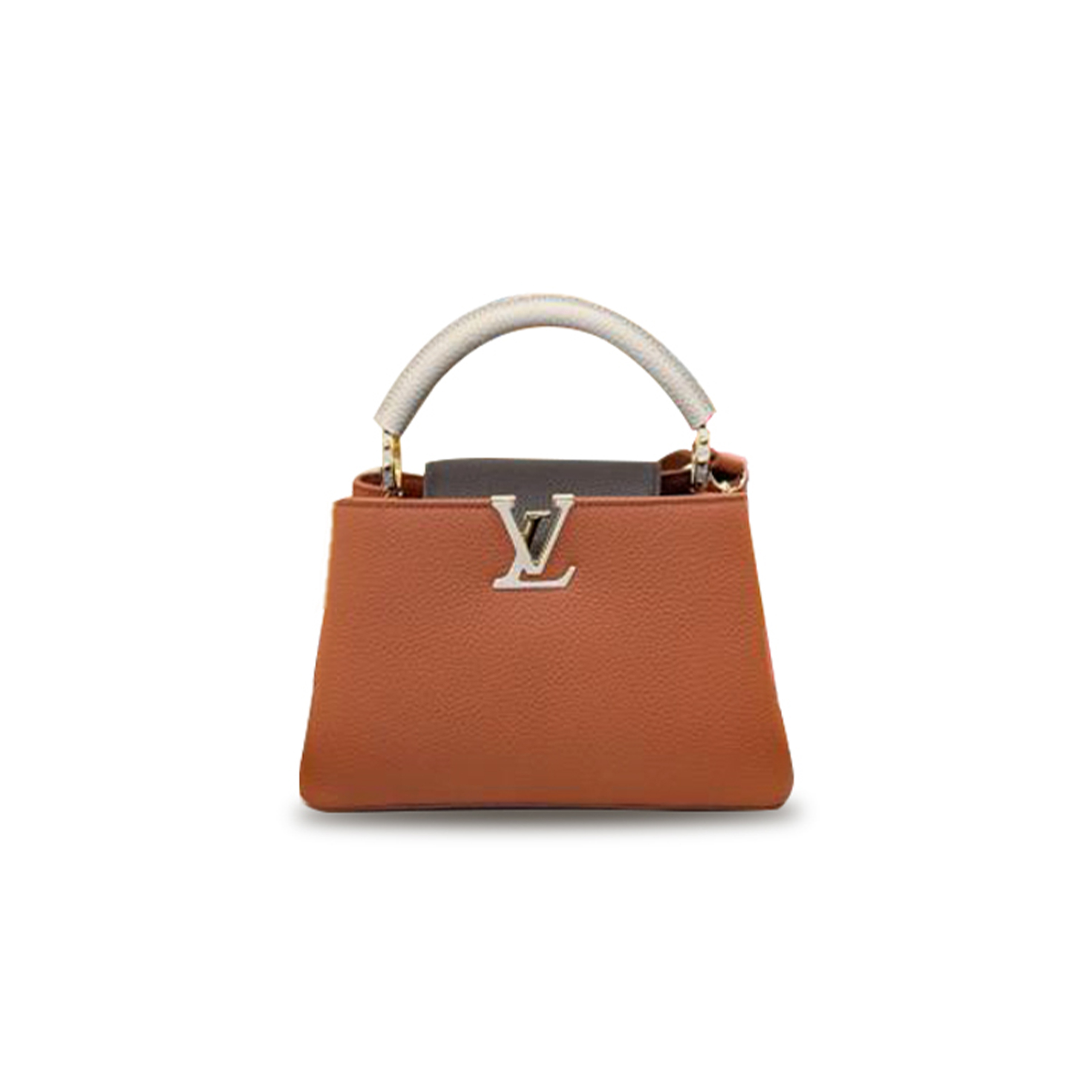 LOUIS VUITTON CAPUCINES BB M14176 (27*18*9cm) 